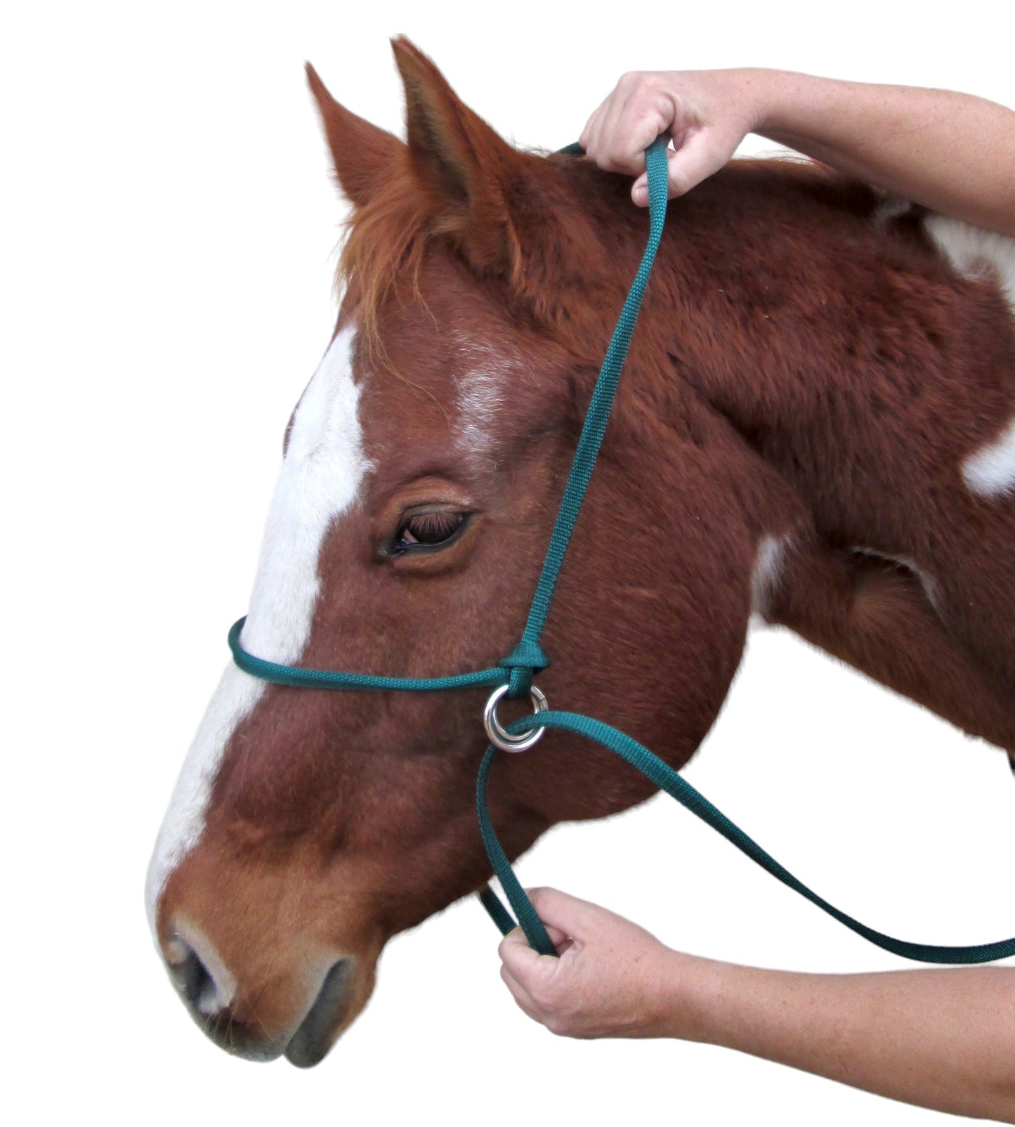 Horse Halter All Adjustable Combo w/ Lead XS, S, M, Solid Colors
