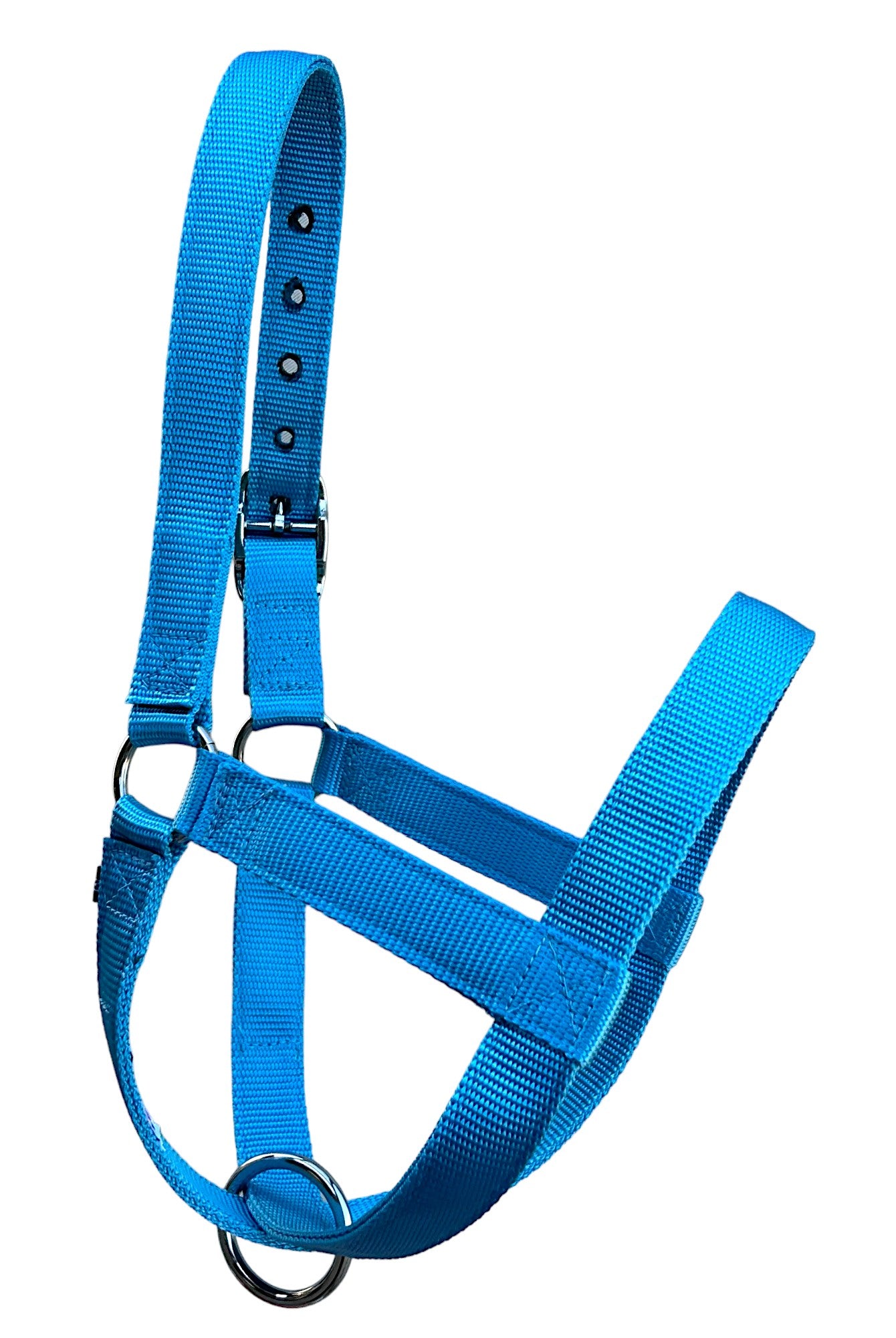 Donkey Figure 8 Halter, Sizes XS, S, Solid Colors