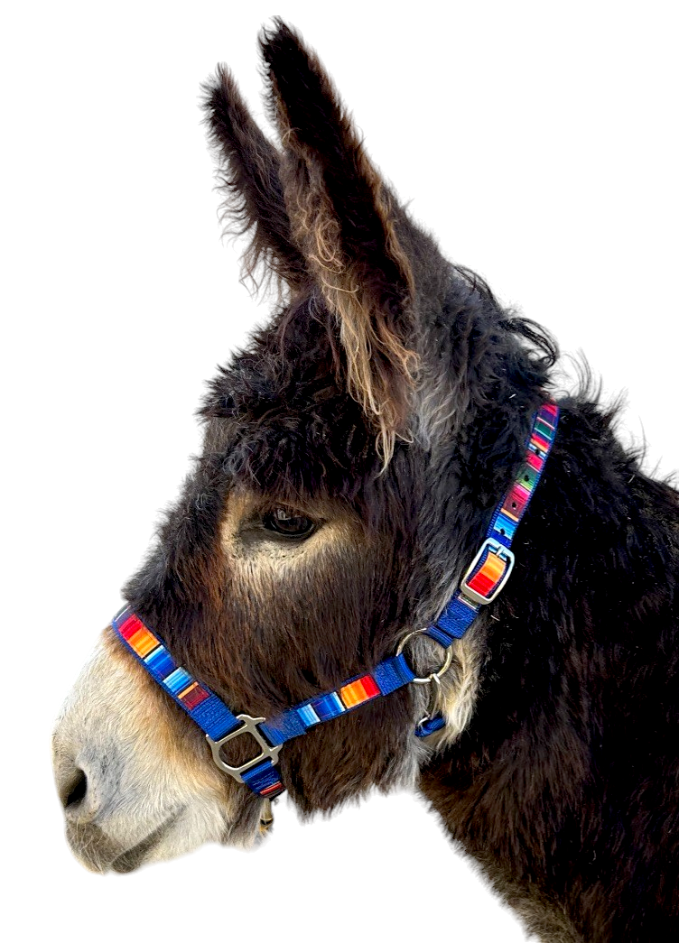 Donkey Inlay Traditional Halter M L