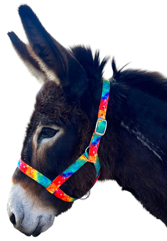 Donkey Figure 8 Halter, M, L, XL, Patterns