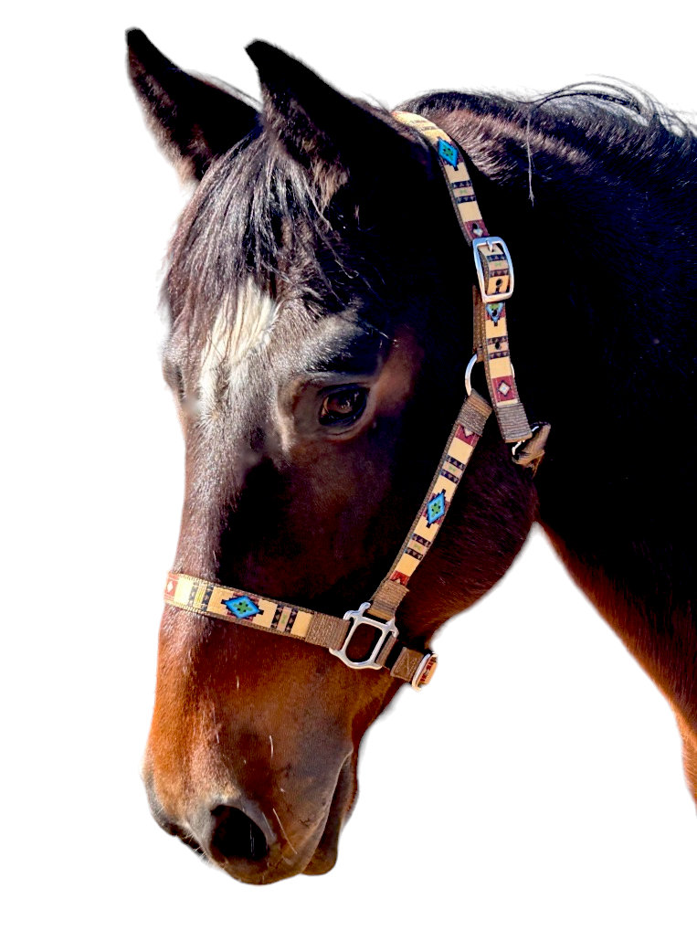 Horse Inlay Traditional Halter